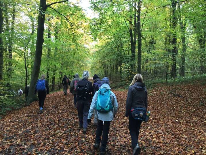 CW walking in woodland
